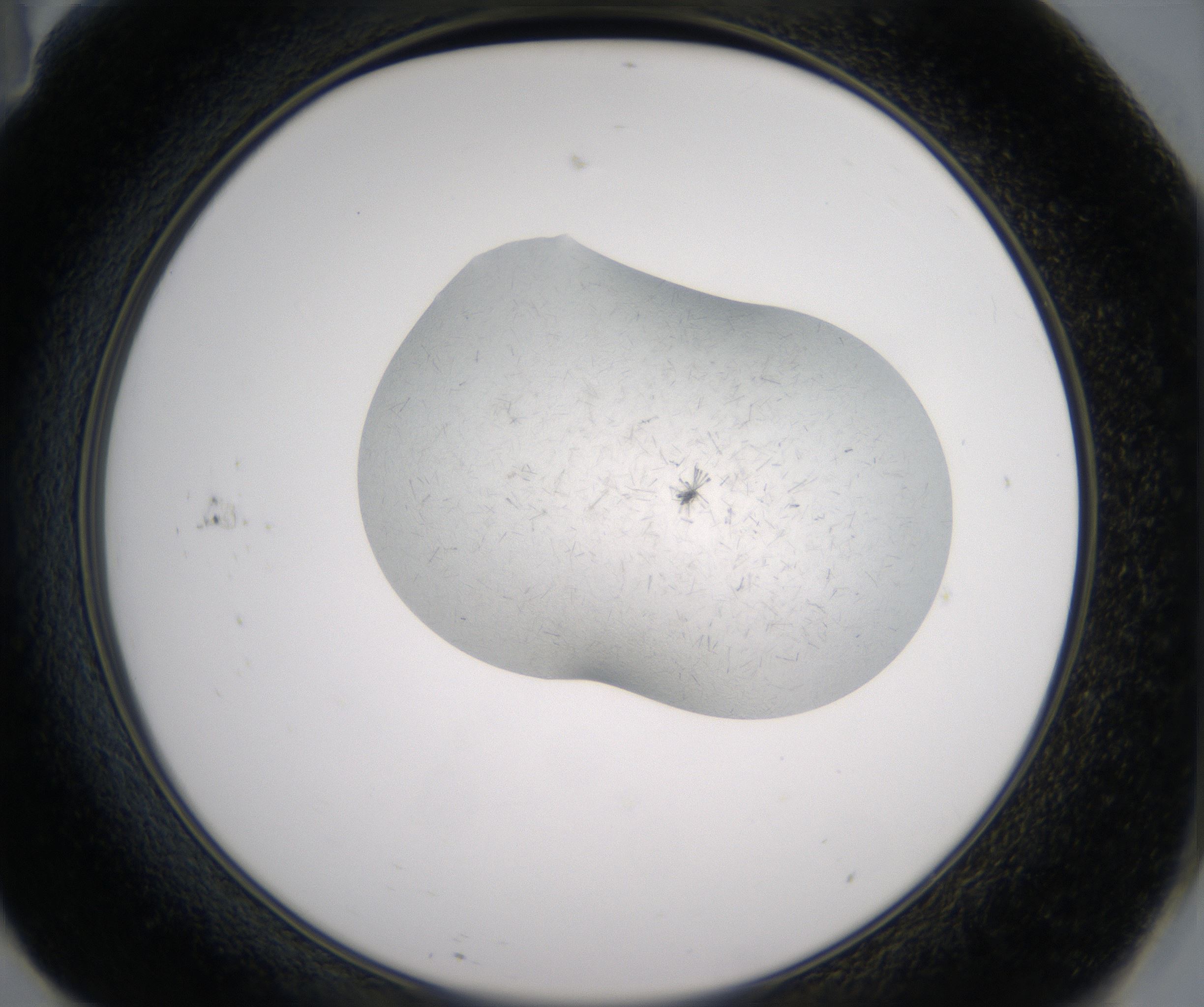F11_HighResolution_Crystal_2.jpg