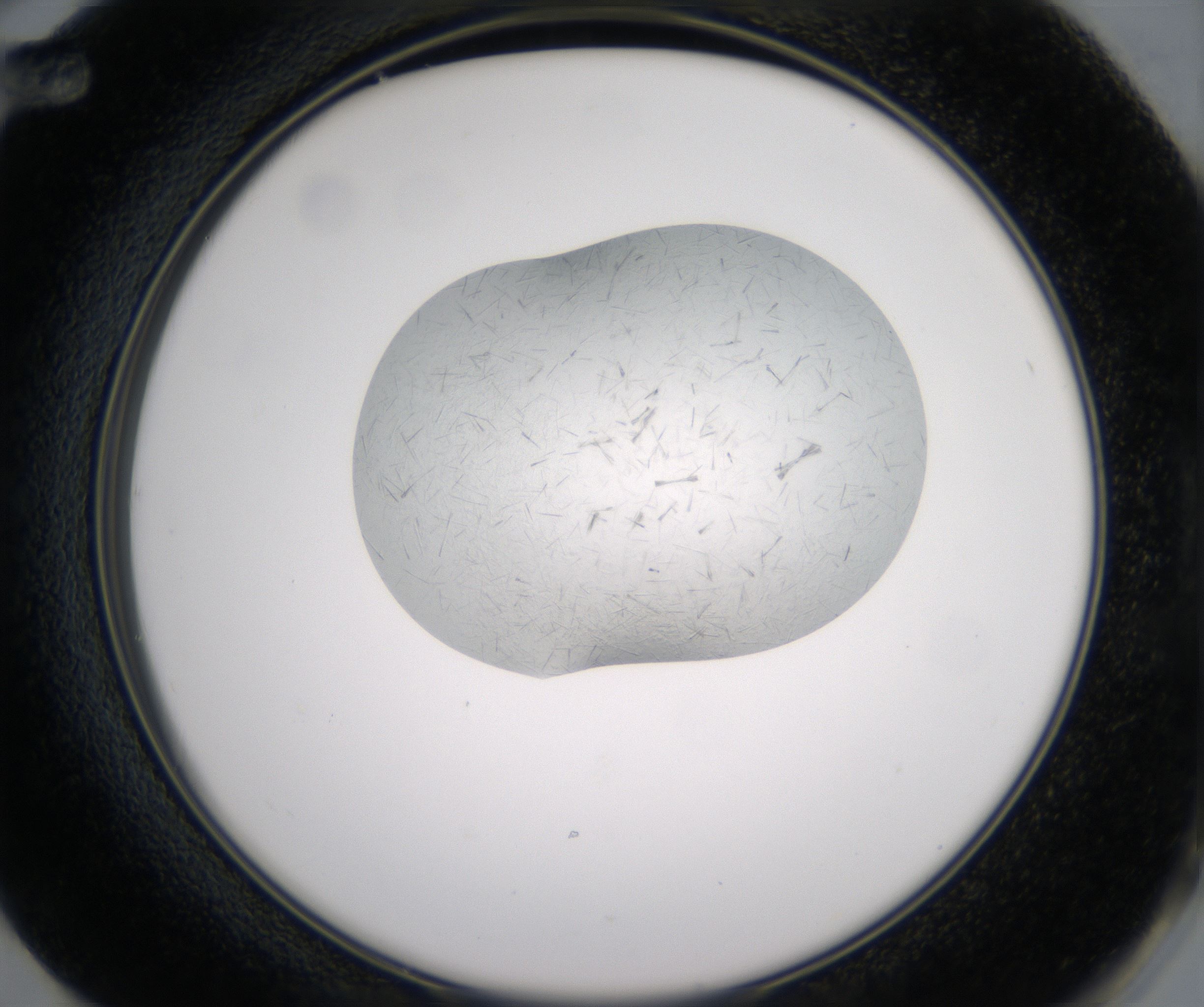 F12_HighResolution_Crystal_2.jpg