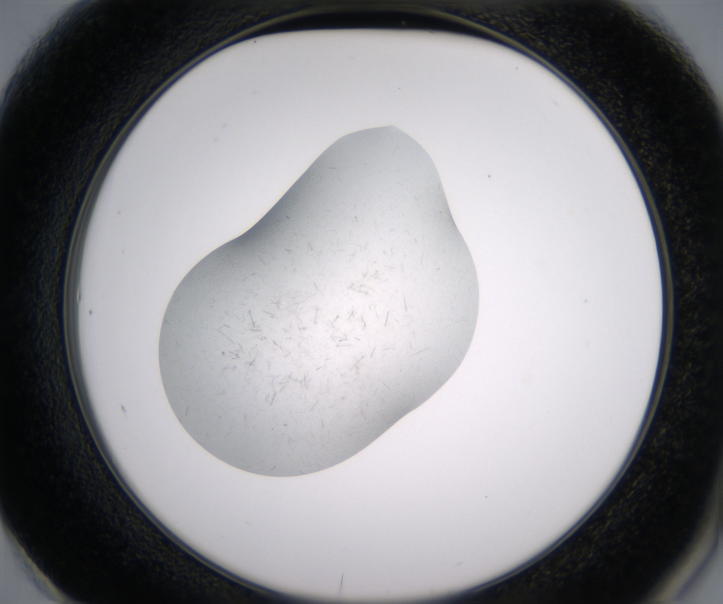F1_HighResolution_Crystal_2.jpg