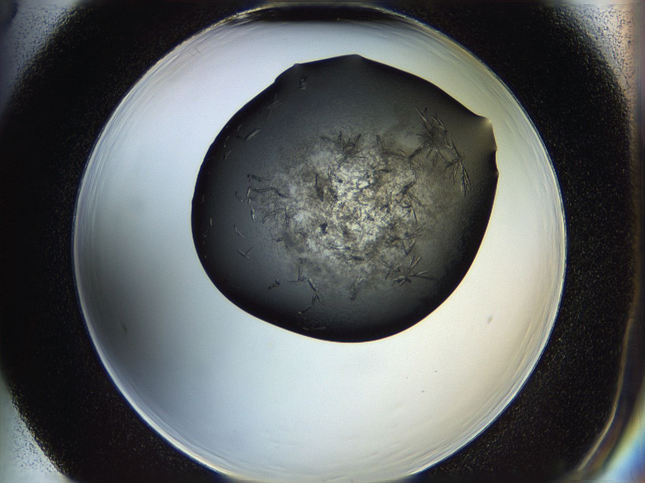 05is_F5_ImagerDefaults_7.jpg