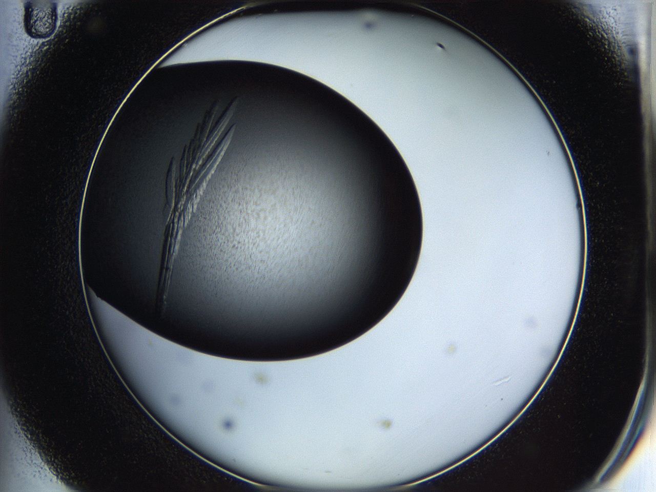 05is_D11_ImagerDefaults_9.jpg