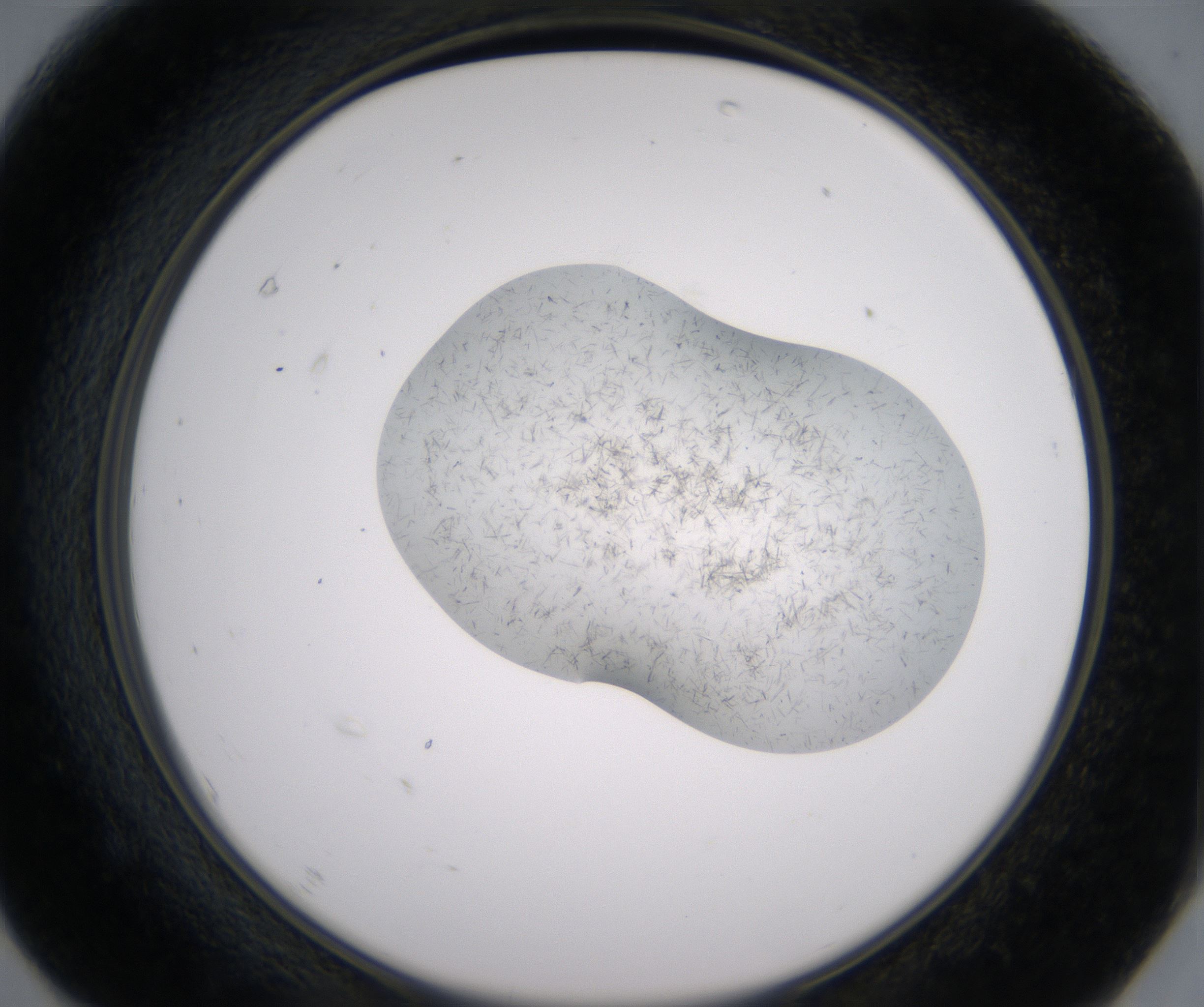 F7_HighResolution_Crystal_2.jpg