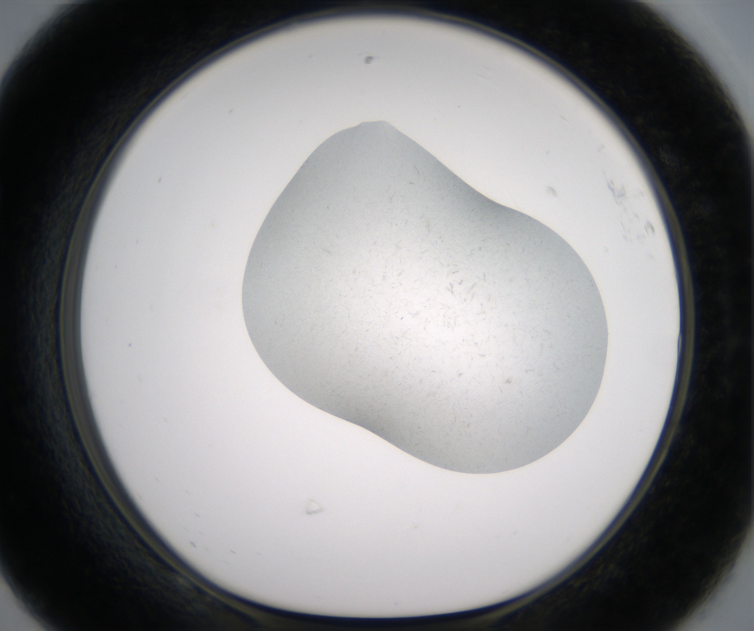 F8_HighResolution_Crystal_1.jpg