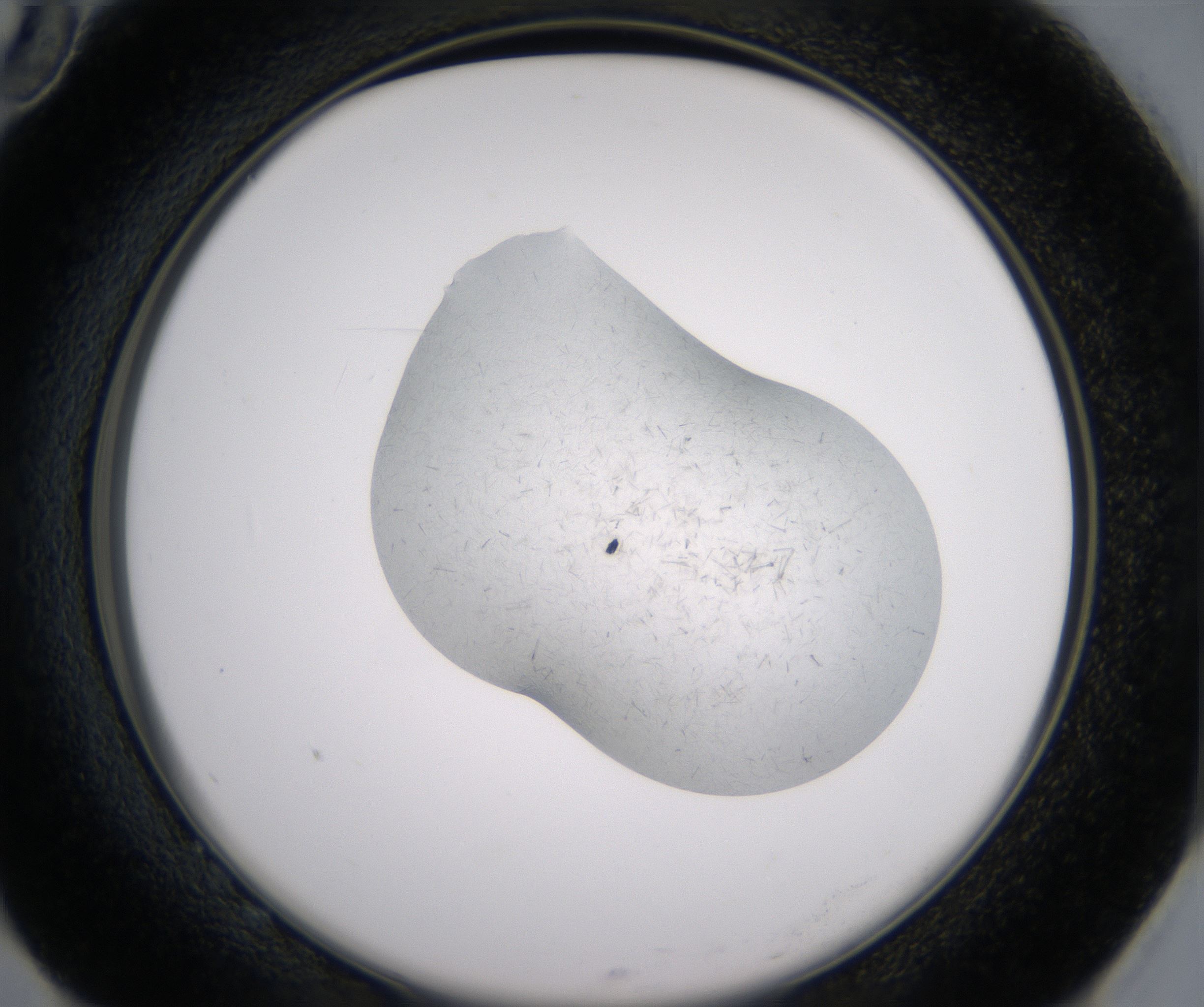 G10_HighResolution_Crystal_2.jpg