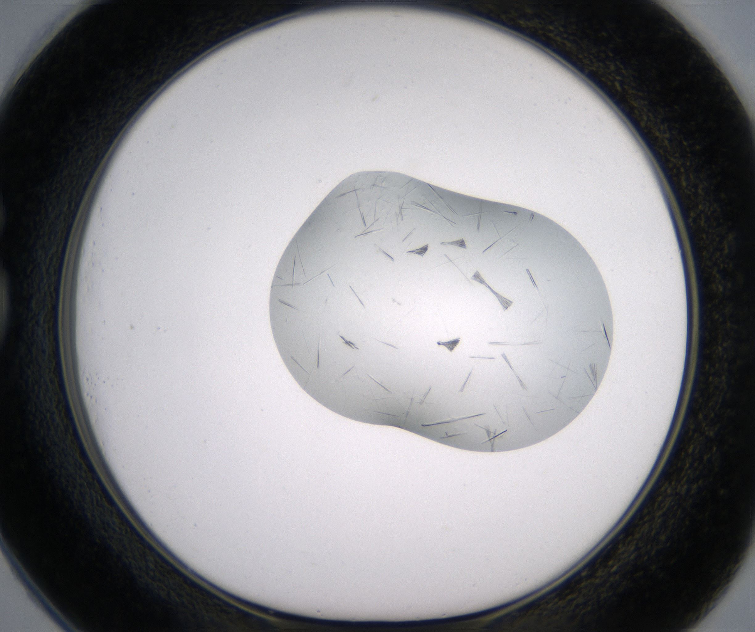 G1_HighResolution_Crystal_1.jpg