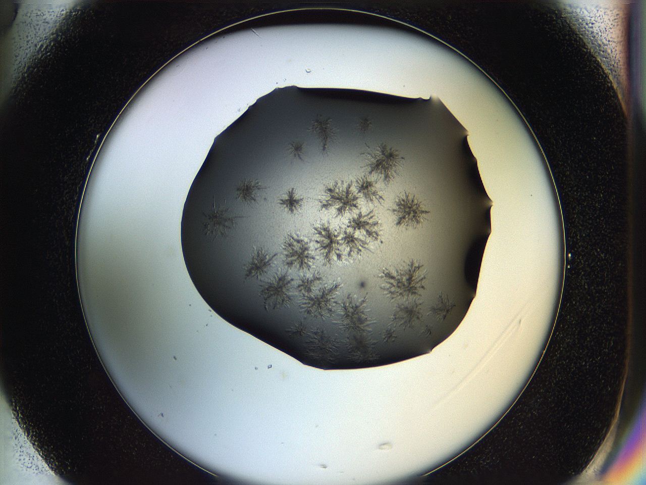 05is_G5_ImagerDefaults_6.jpg