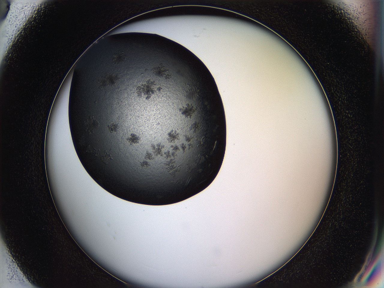 05is_G8_ImagerDefaults_6.jpg