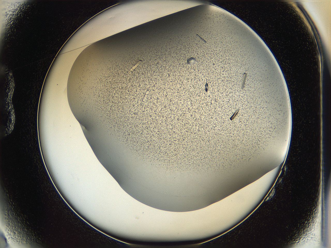 05it_B2_ImagerDefaults_9.jpg
