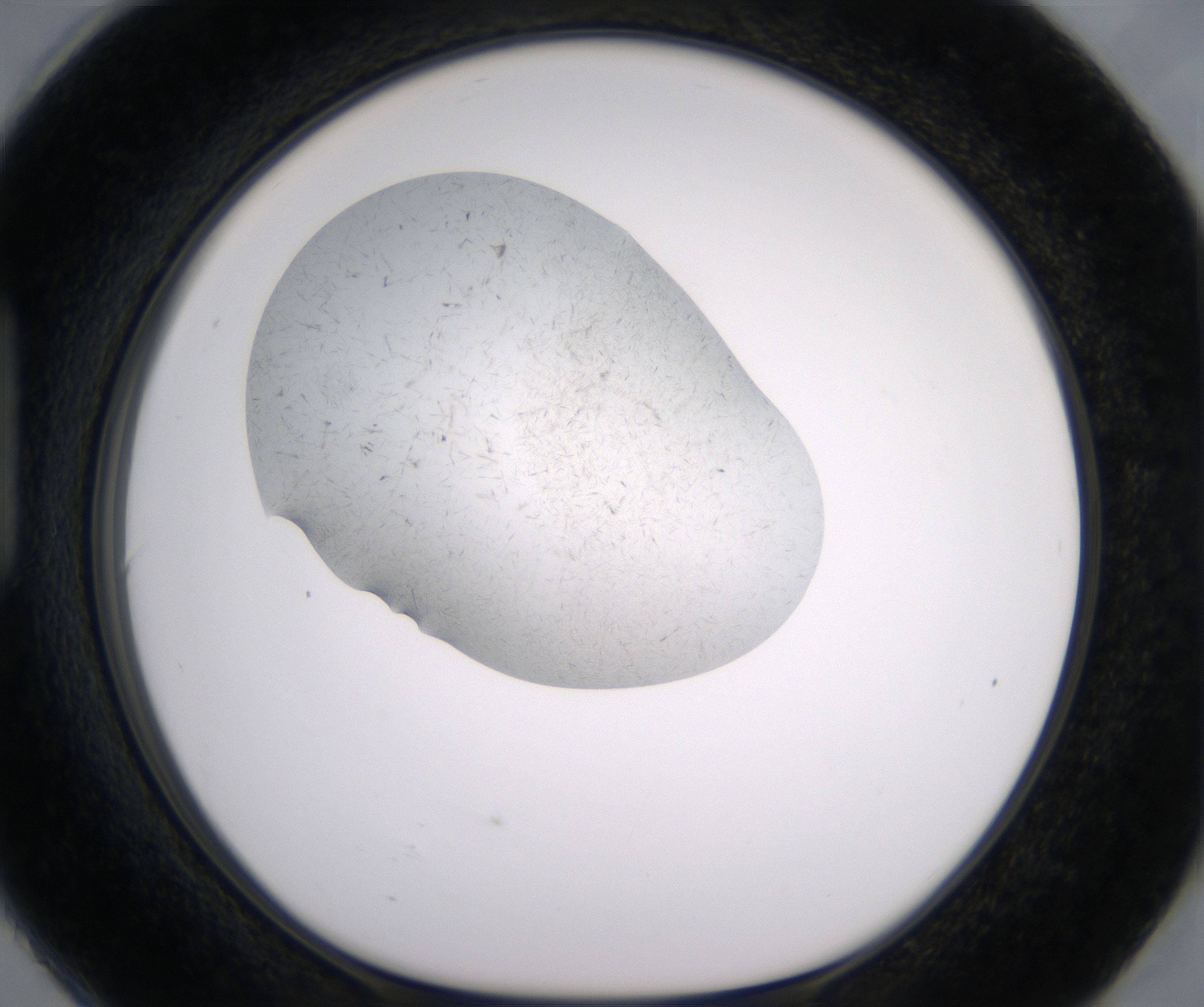 H6_HighResolution_Crystal_1.jpg