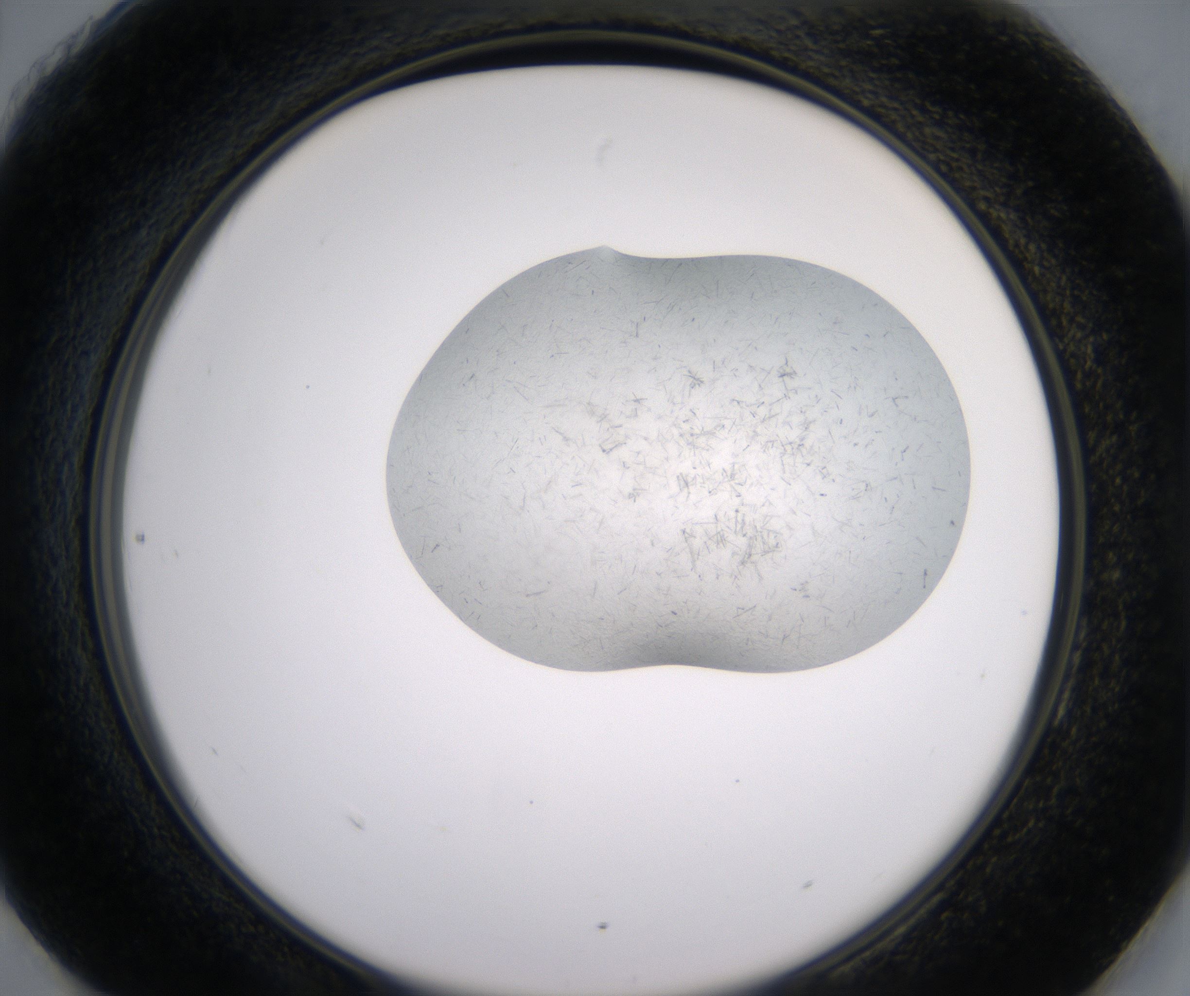 H6_HighResolution_Crystal_2.jpg