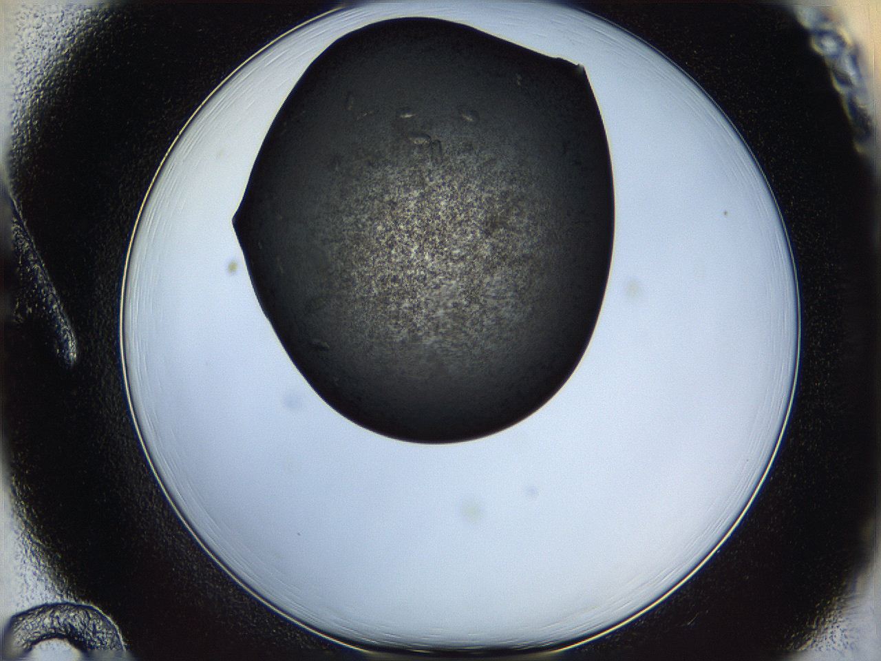 05it_A12_ImagerDefaults_7.jpg