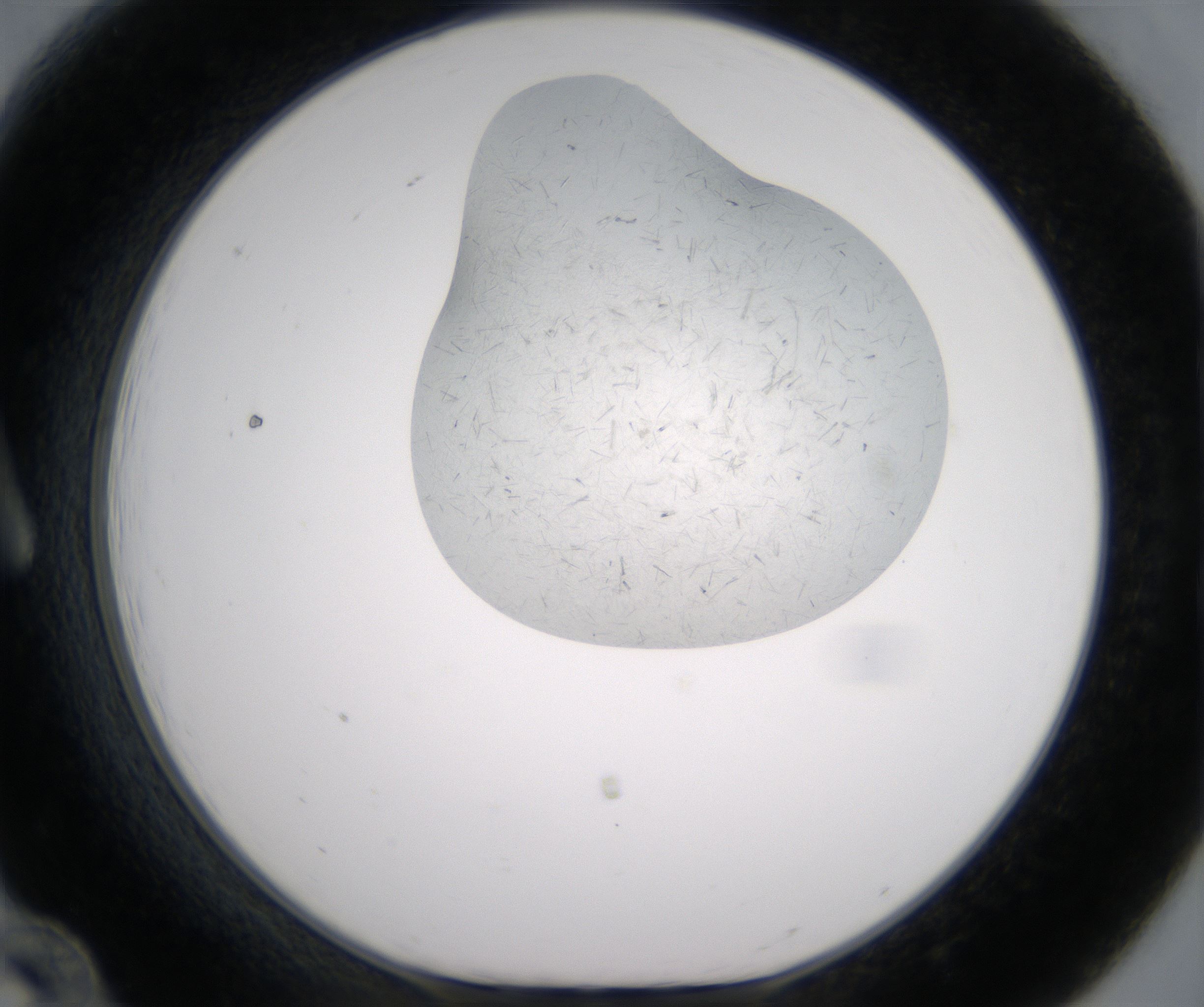 A12_HighResolution_Crystal_1.jpg
