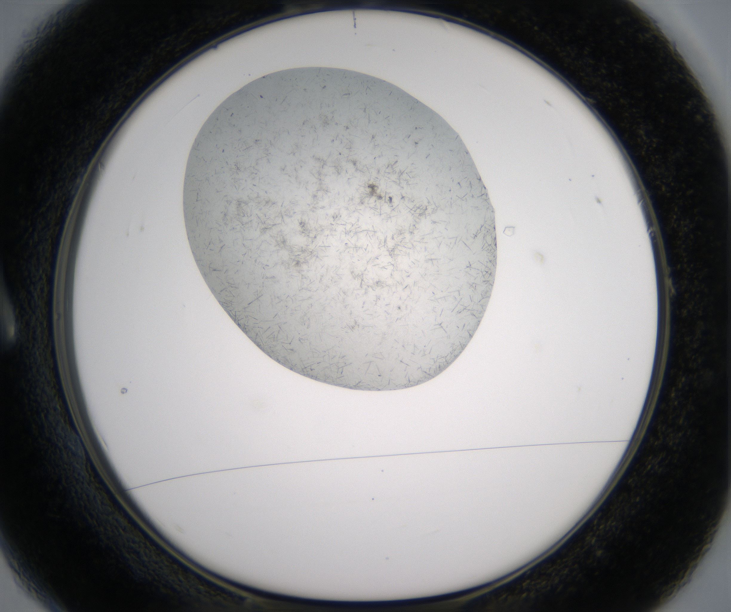 A1_HighResolution_Crystal_1.jpg