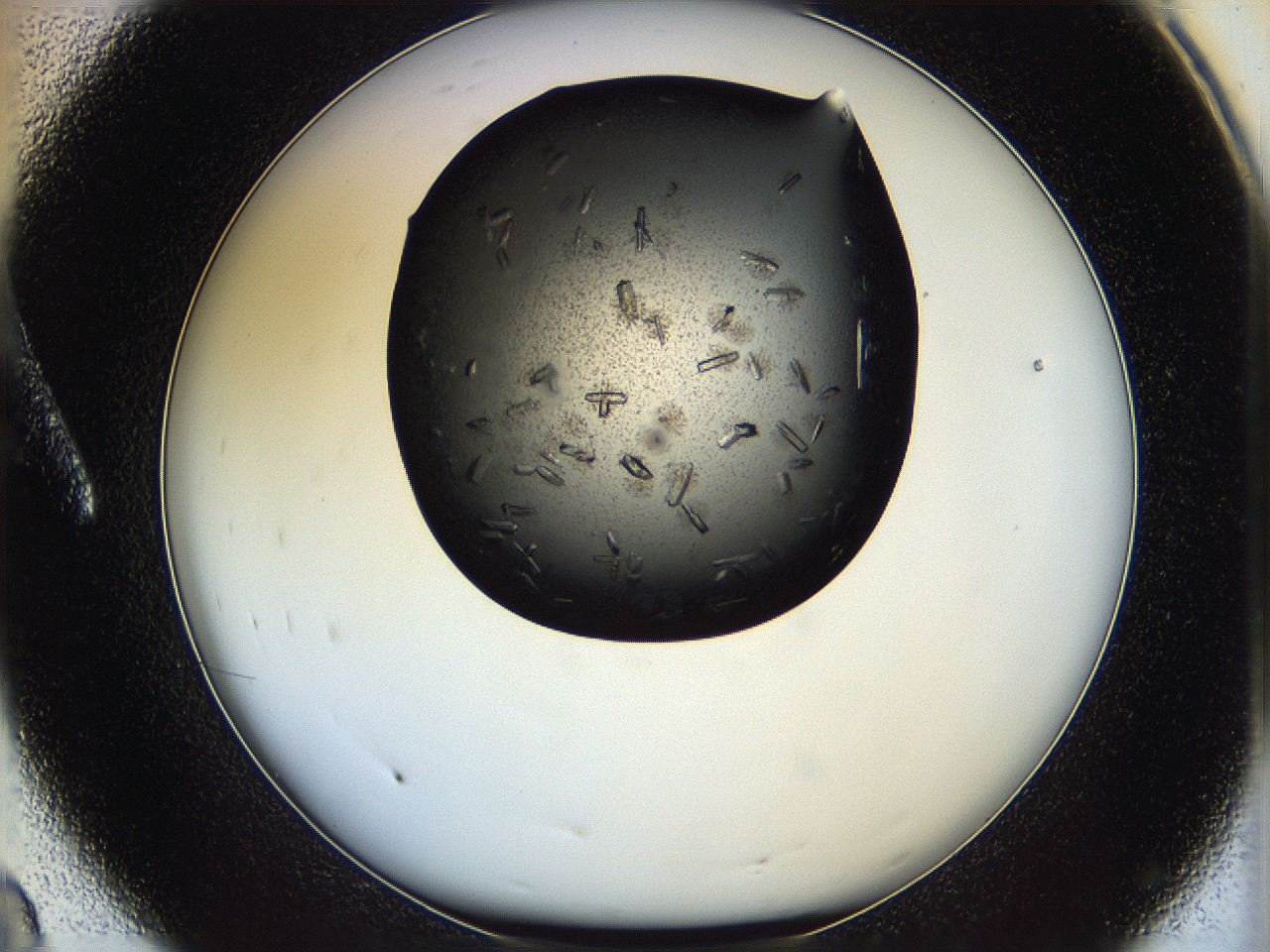 05it_A8_ImagerDefaults_8.jpg