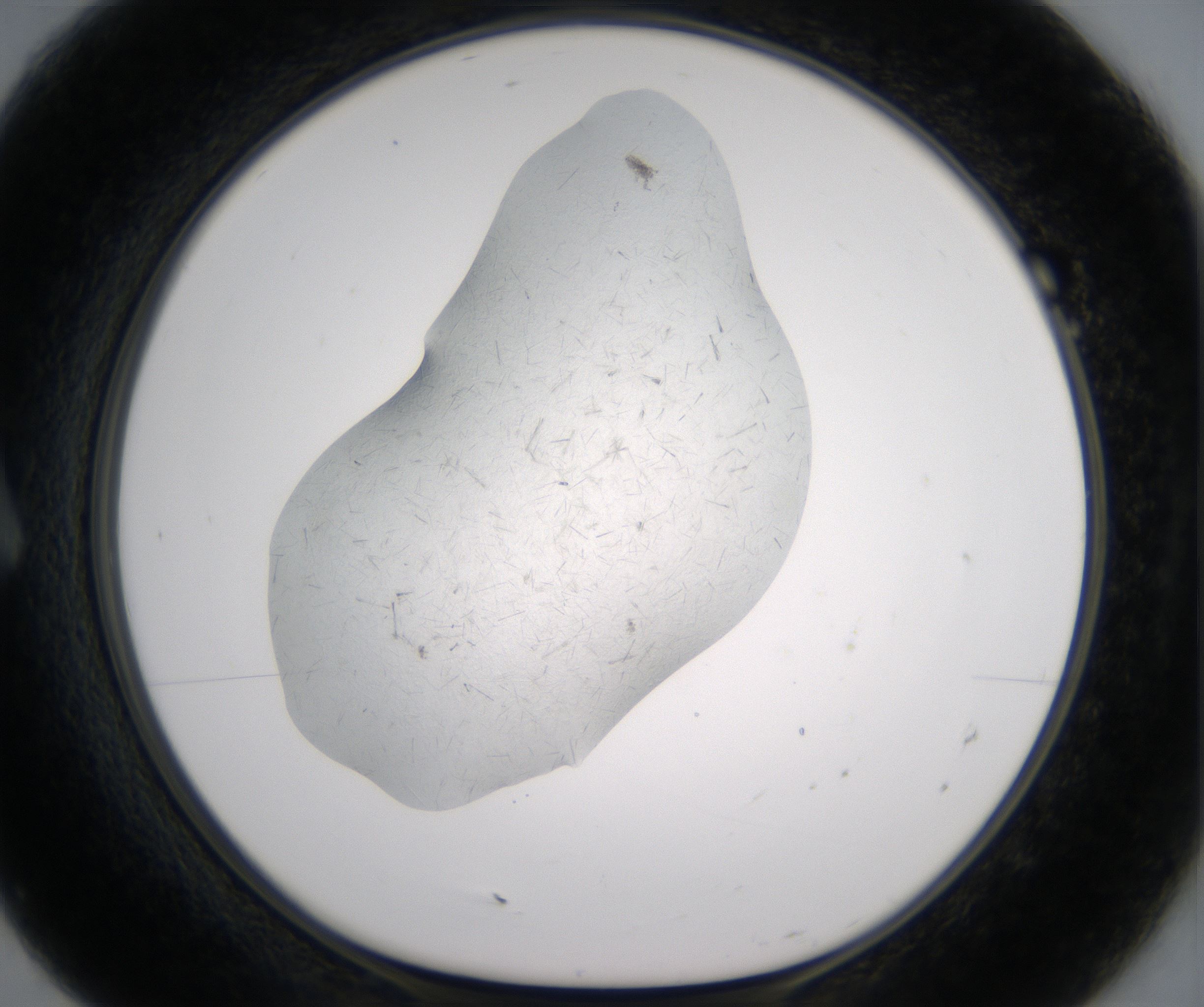 A7_HighResolution_Crystal_1.jpg