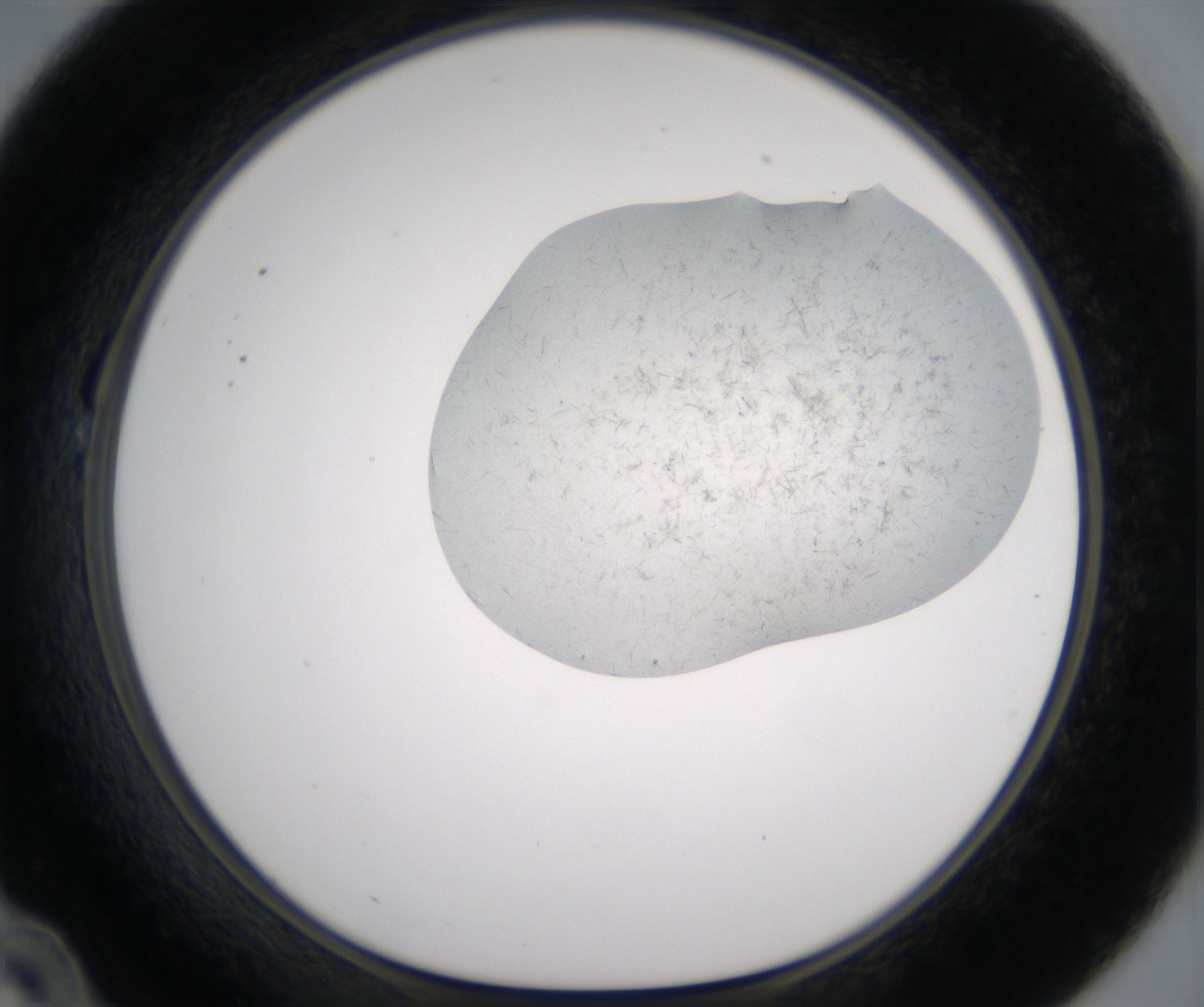 B10_HighResolution_Crystal_1.jpg