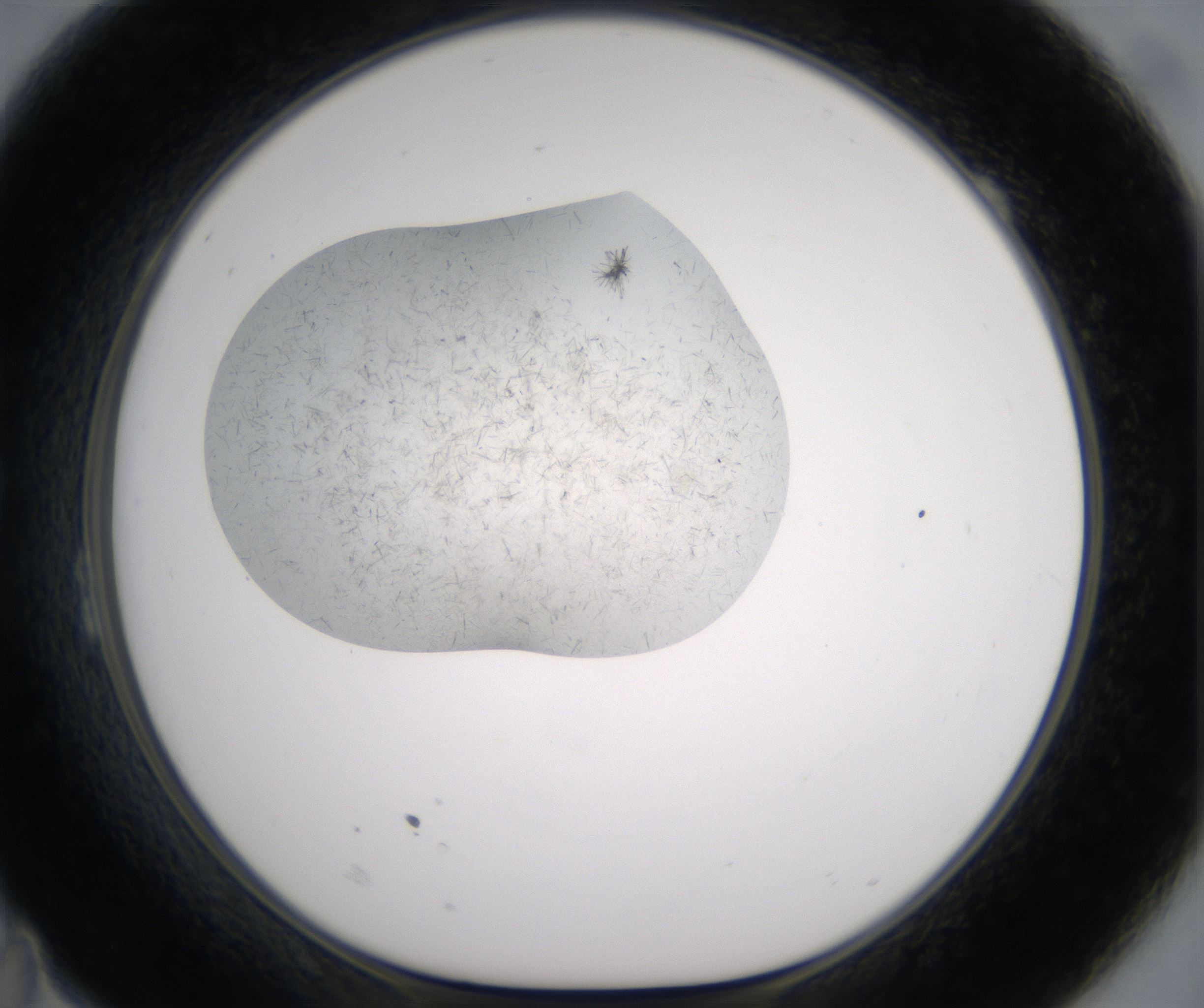 B11_HighResolution_Crystal_1.jpg