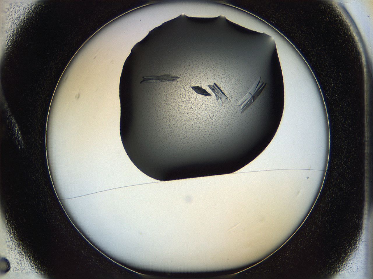 05it_A5_ImagerDefaults_9.jpg