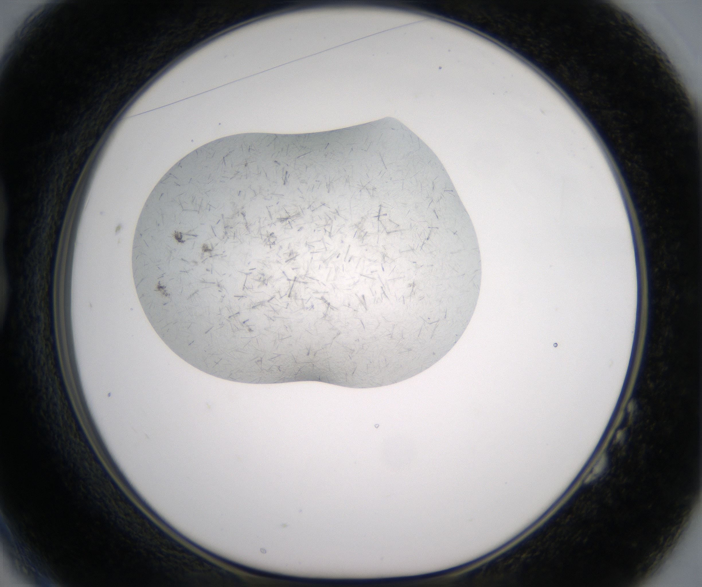B2_HighResolution_Crystal_1.jpg