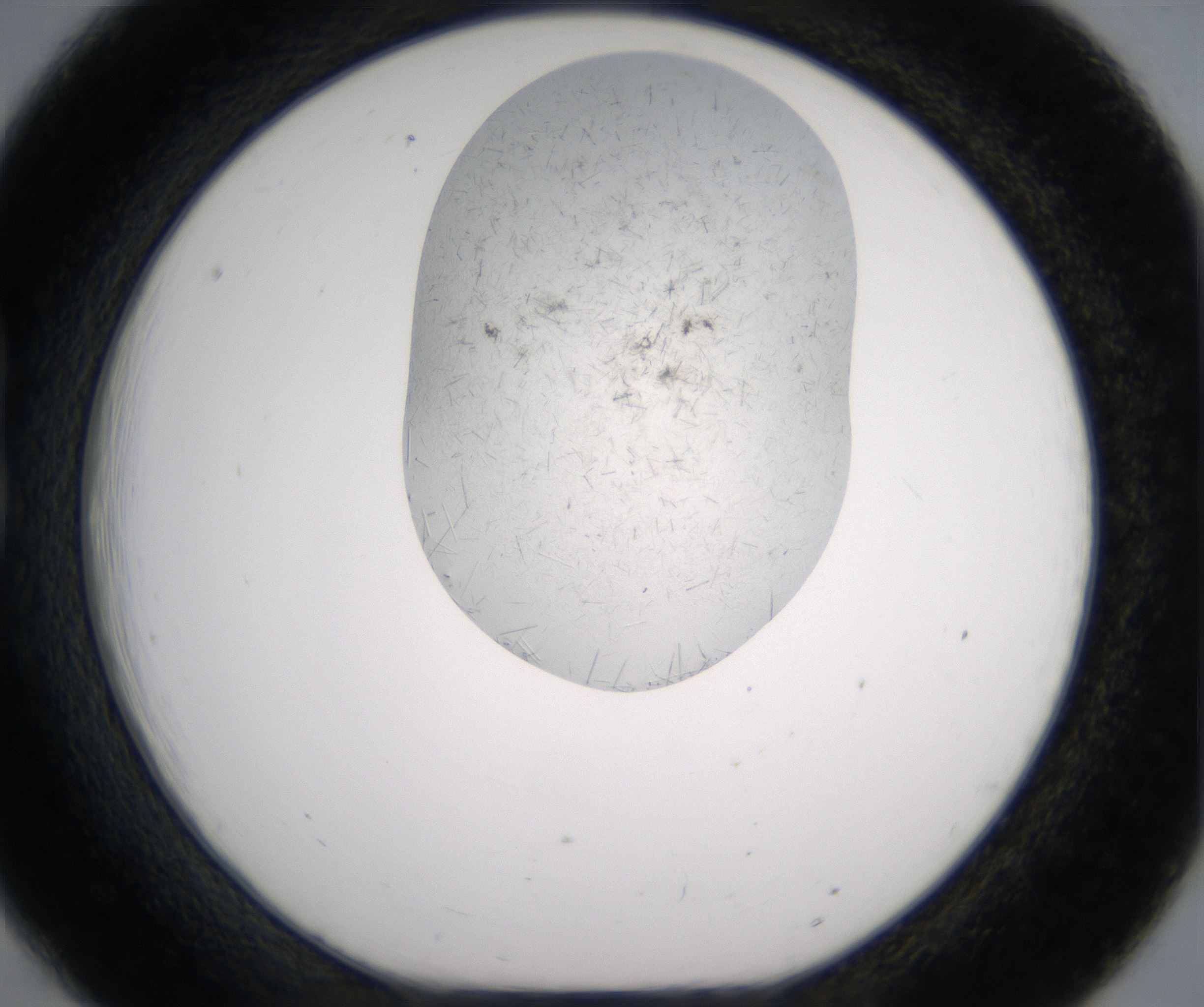 B6_HighResolution_Crystal_1.jpg