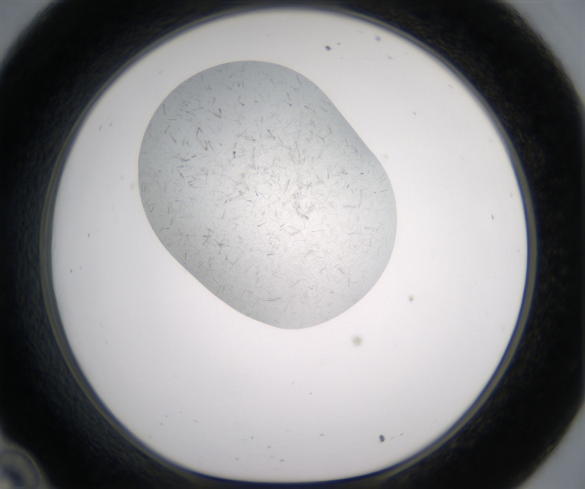 C10_HighResolution_Crystal_1.jpg