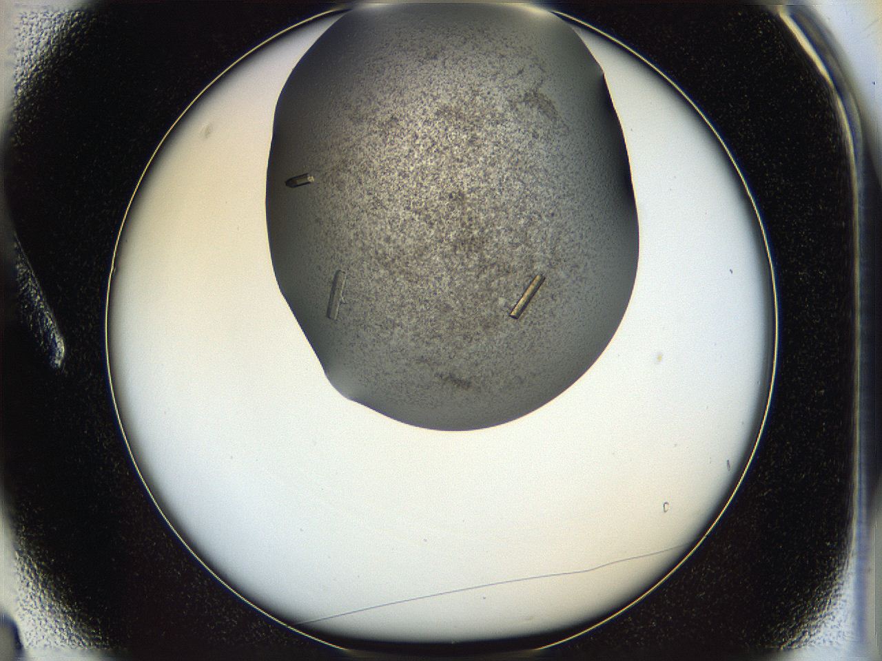 05it_A3_ImagerDefaults_9.jpg