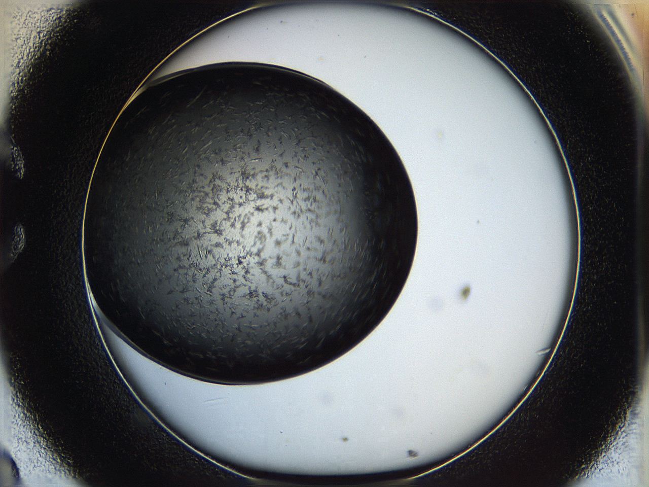05it_C8_ImagerDefaults_6.jpg
