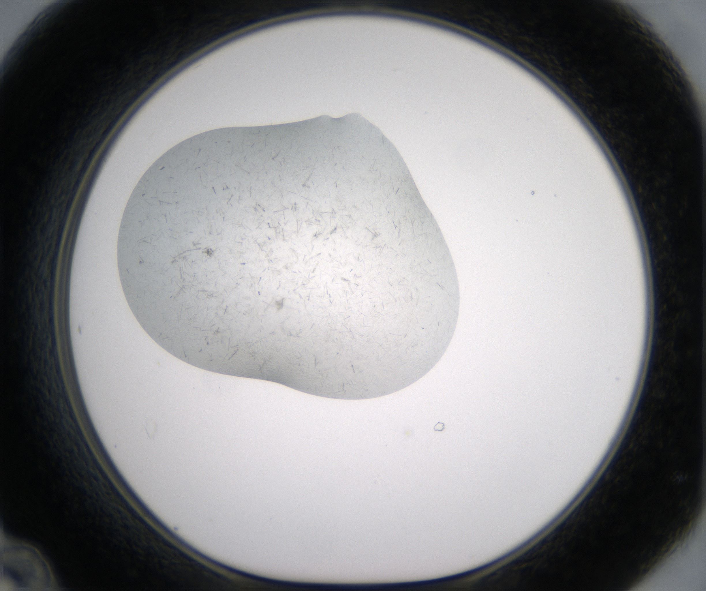 D12_HighResolution_Crystal_1.jpg