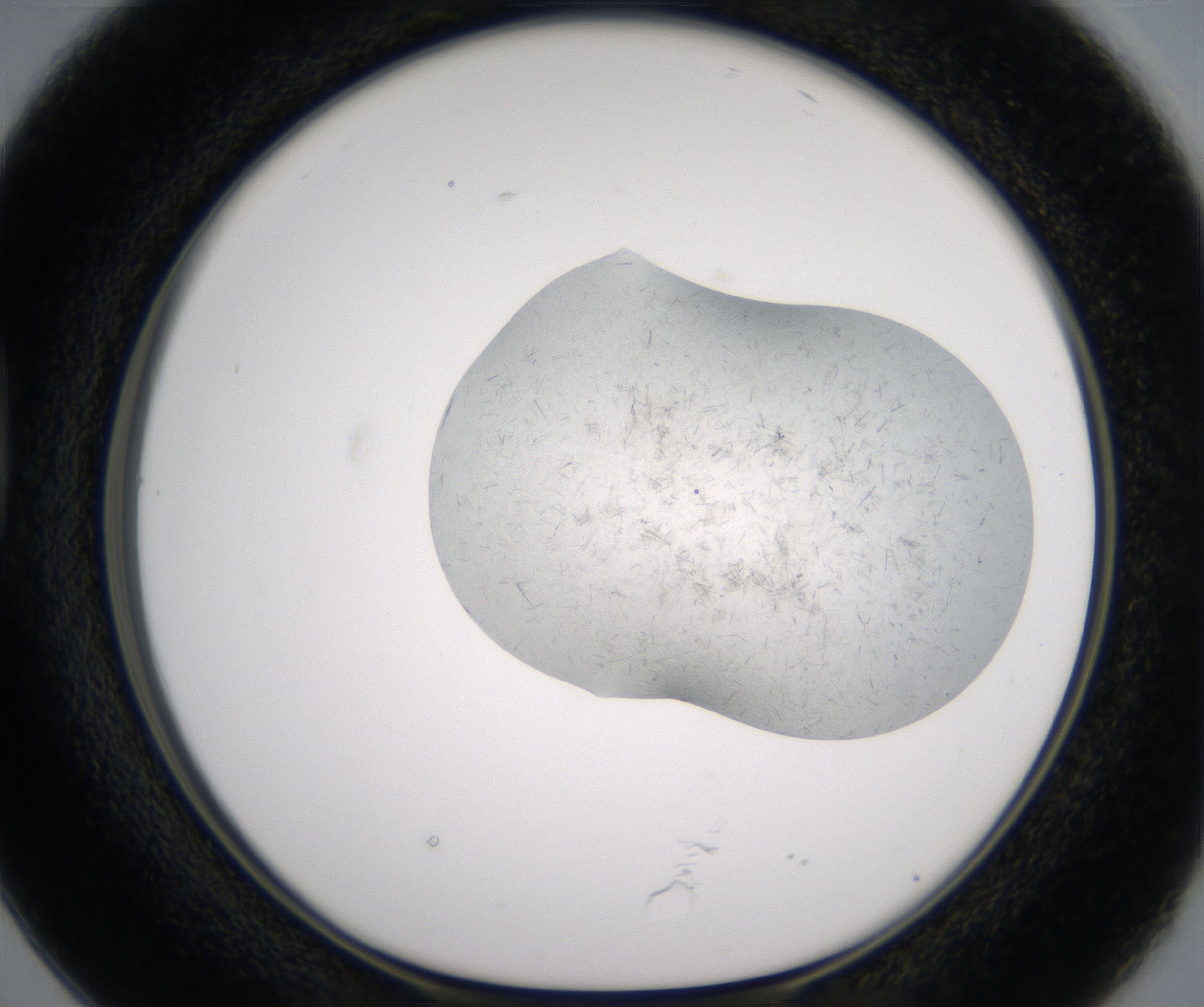 D2_HighResolution_Crystal_1.jpg