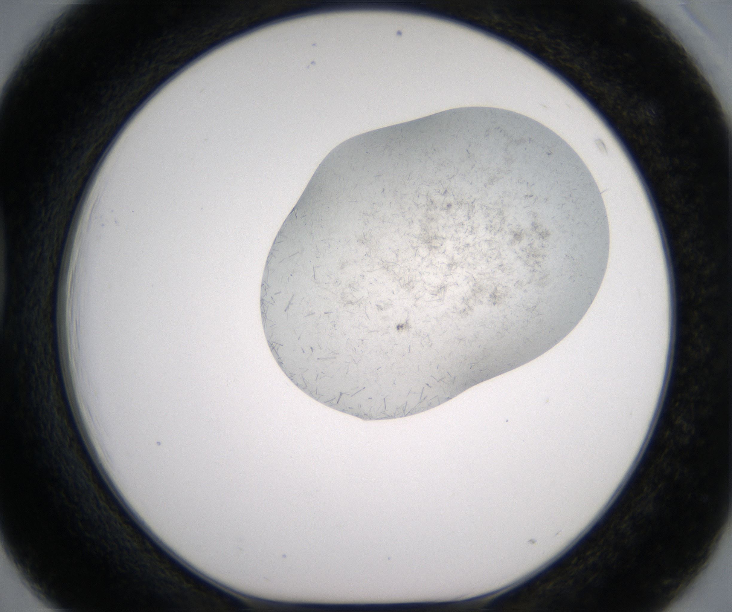D3_HighResolution_Crystal_1.jpg