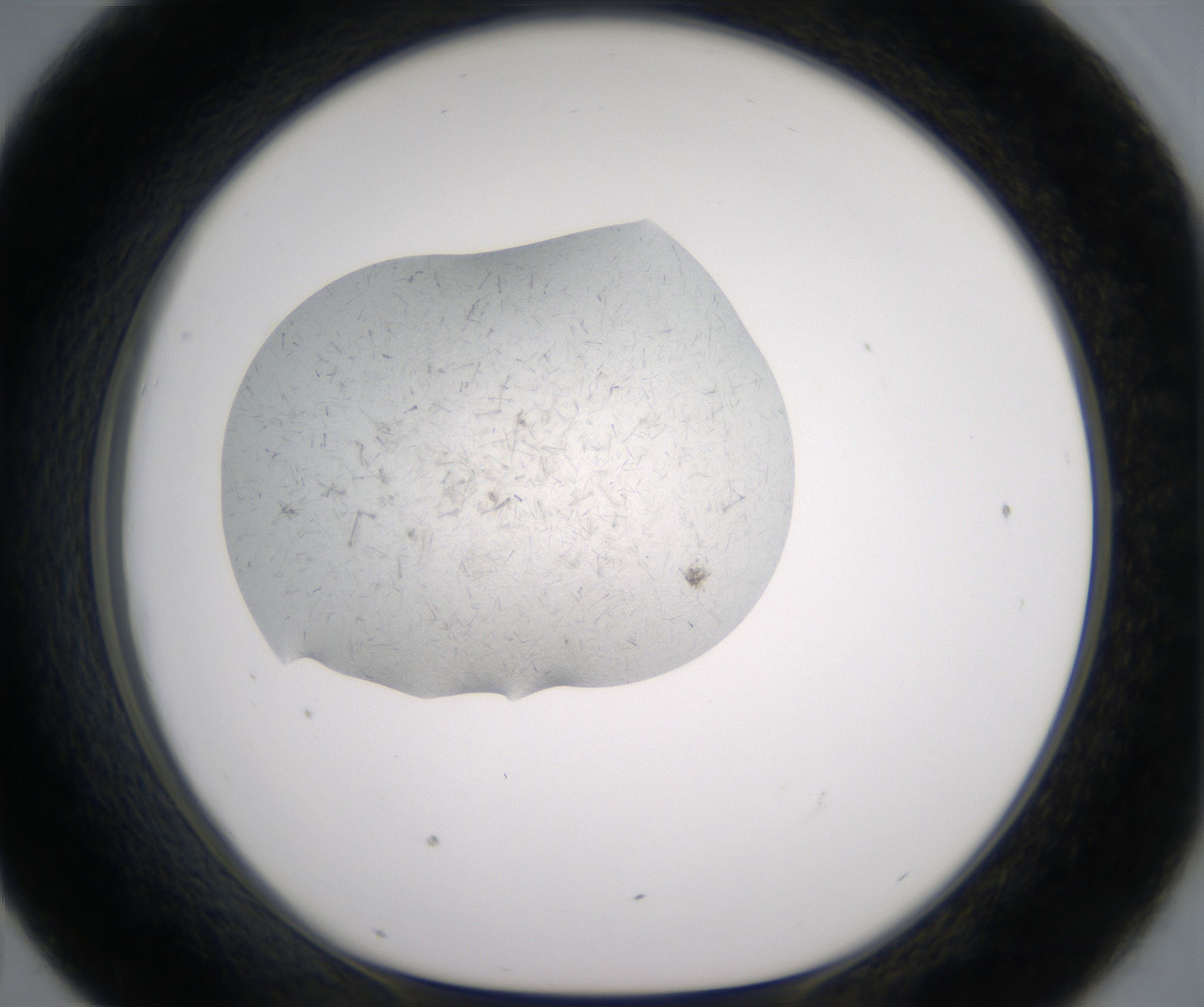 D7_HighResolution_Crystal_1.jpg