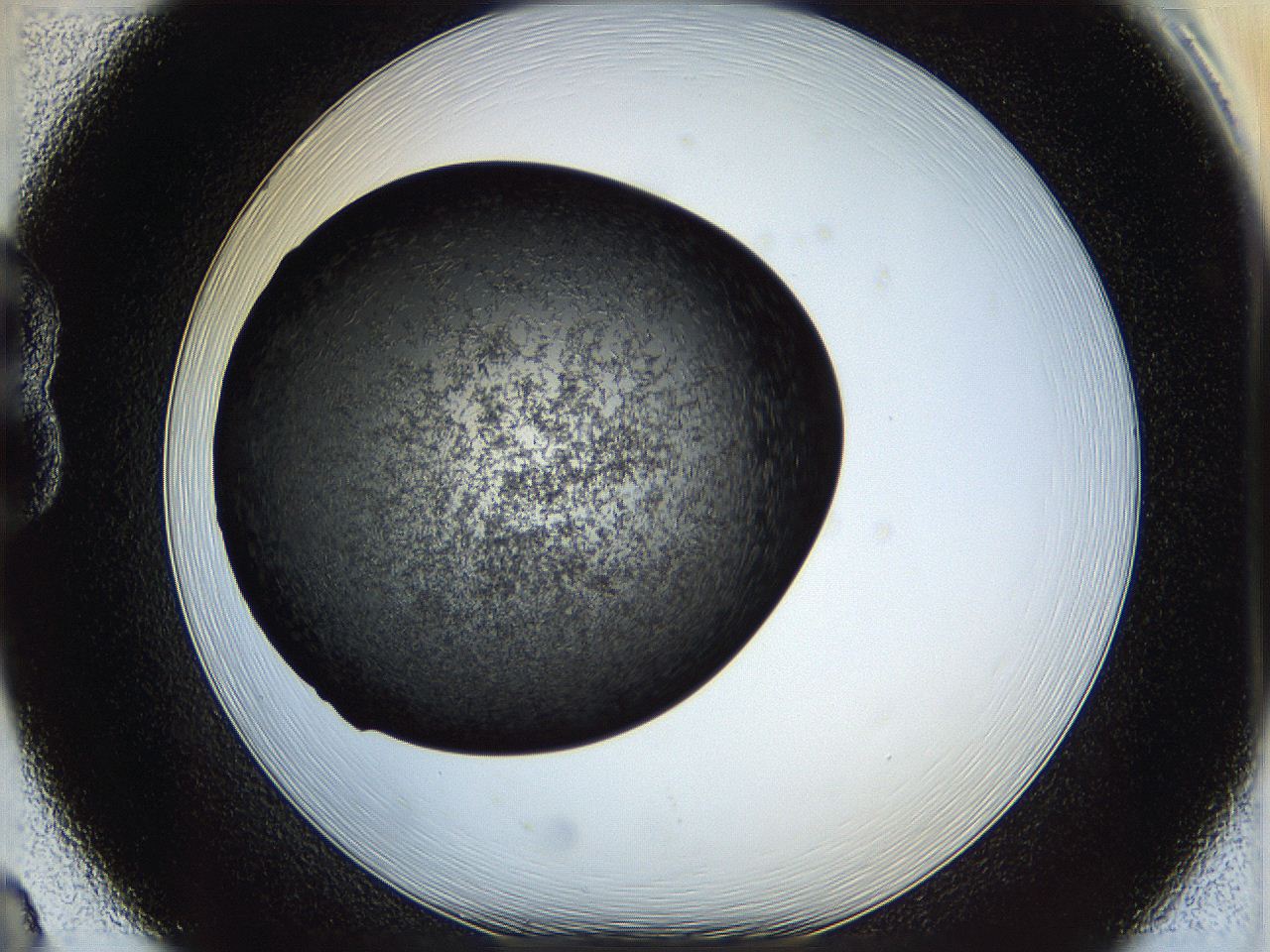 05it_B8_ImagerDefaults_6.jpg