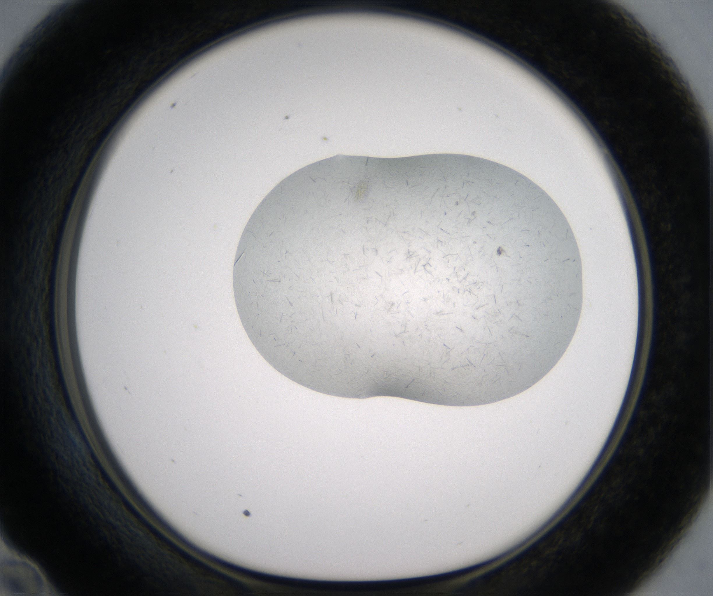 E10_HighResolution_Crystal_1.jpg