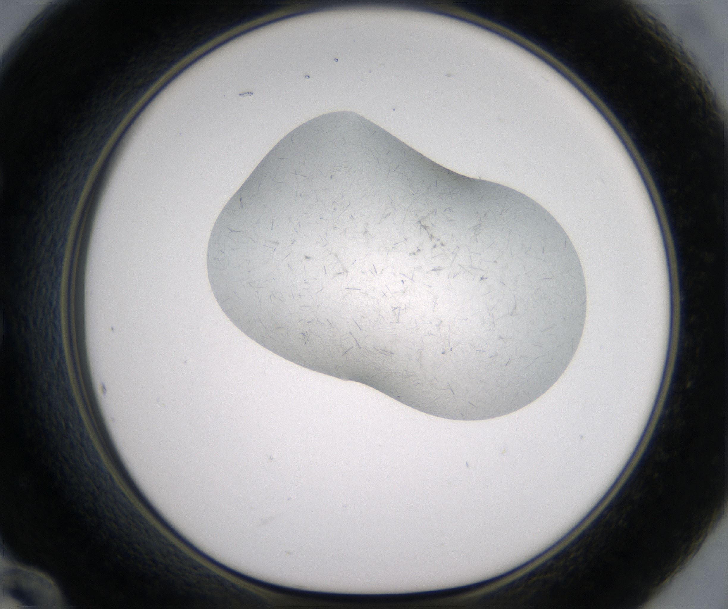 E12_HighResolution_Crystal_1.jpg
