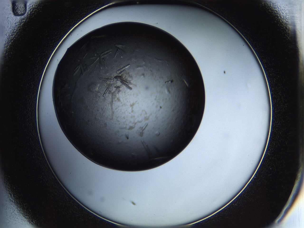 05it_C11_ImagerDefaults_8.jpg