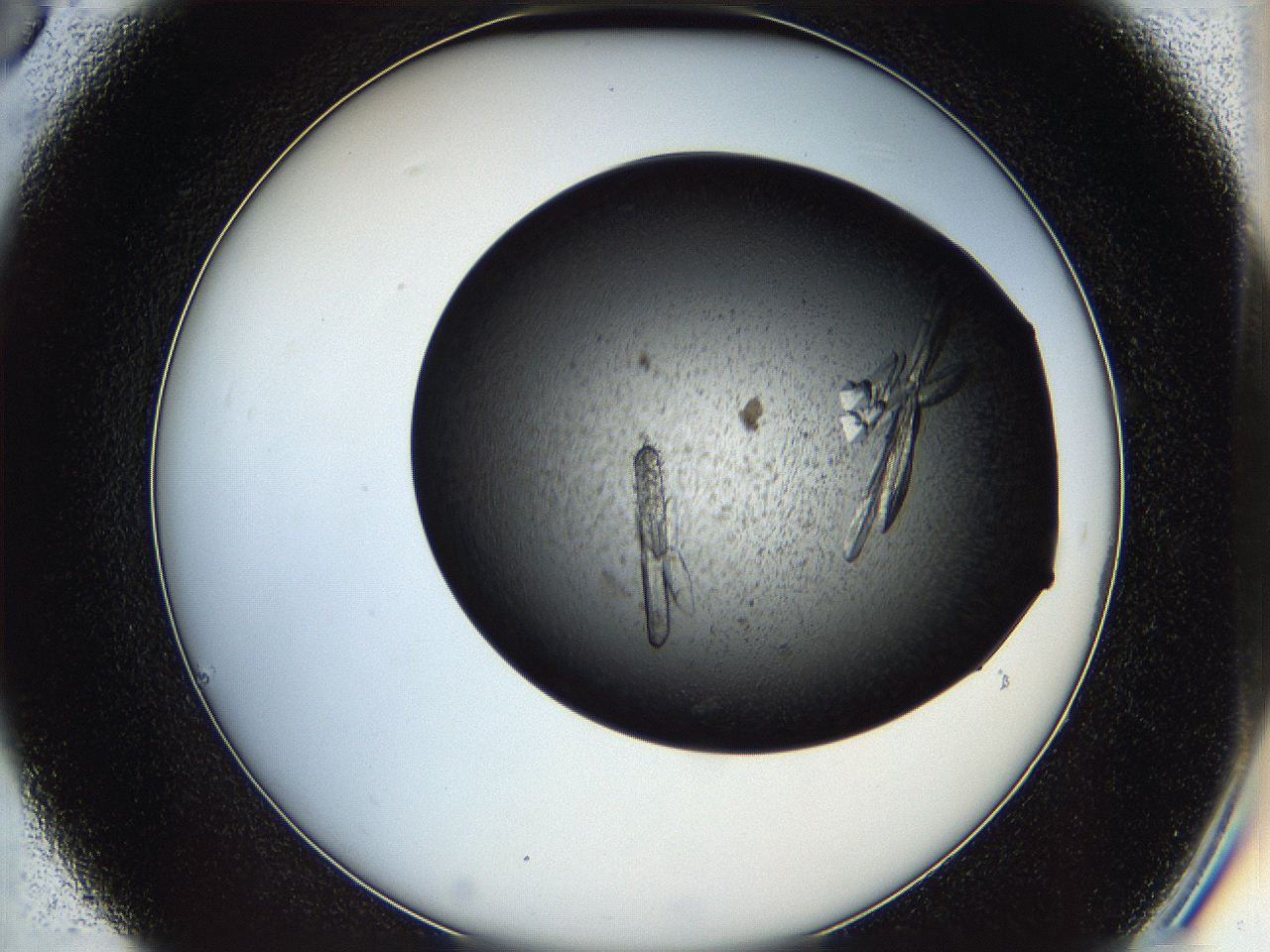 05it_C6_ImagerDefaults_9.jpg