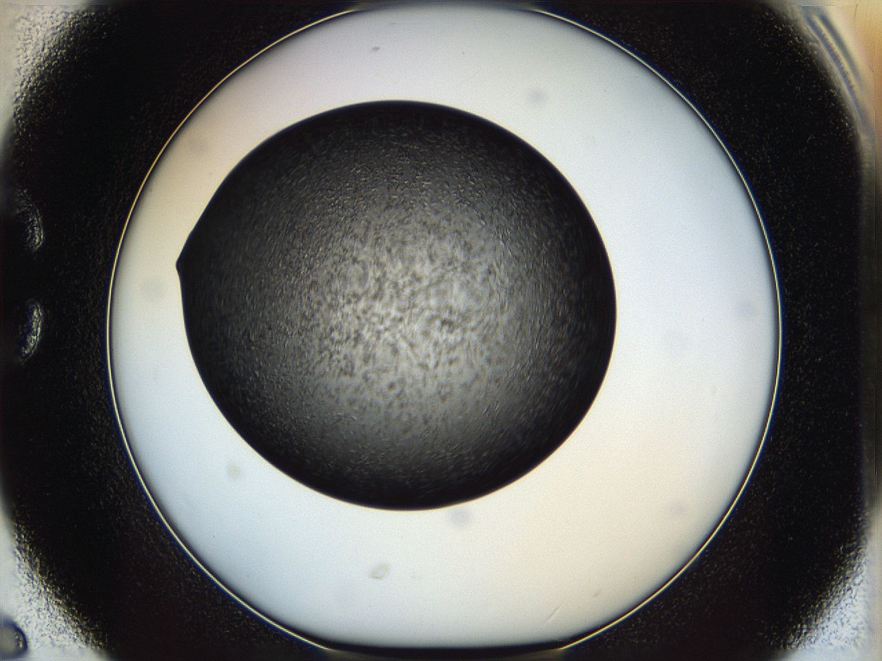 05it_C6_ImagerDefaults_6.jpg