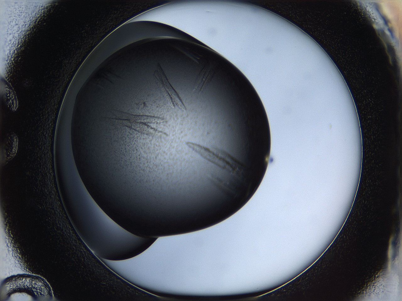 05it_C12_ImagerDefaults_8.jpg