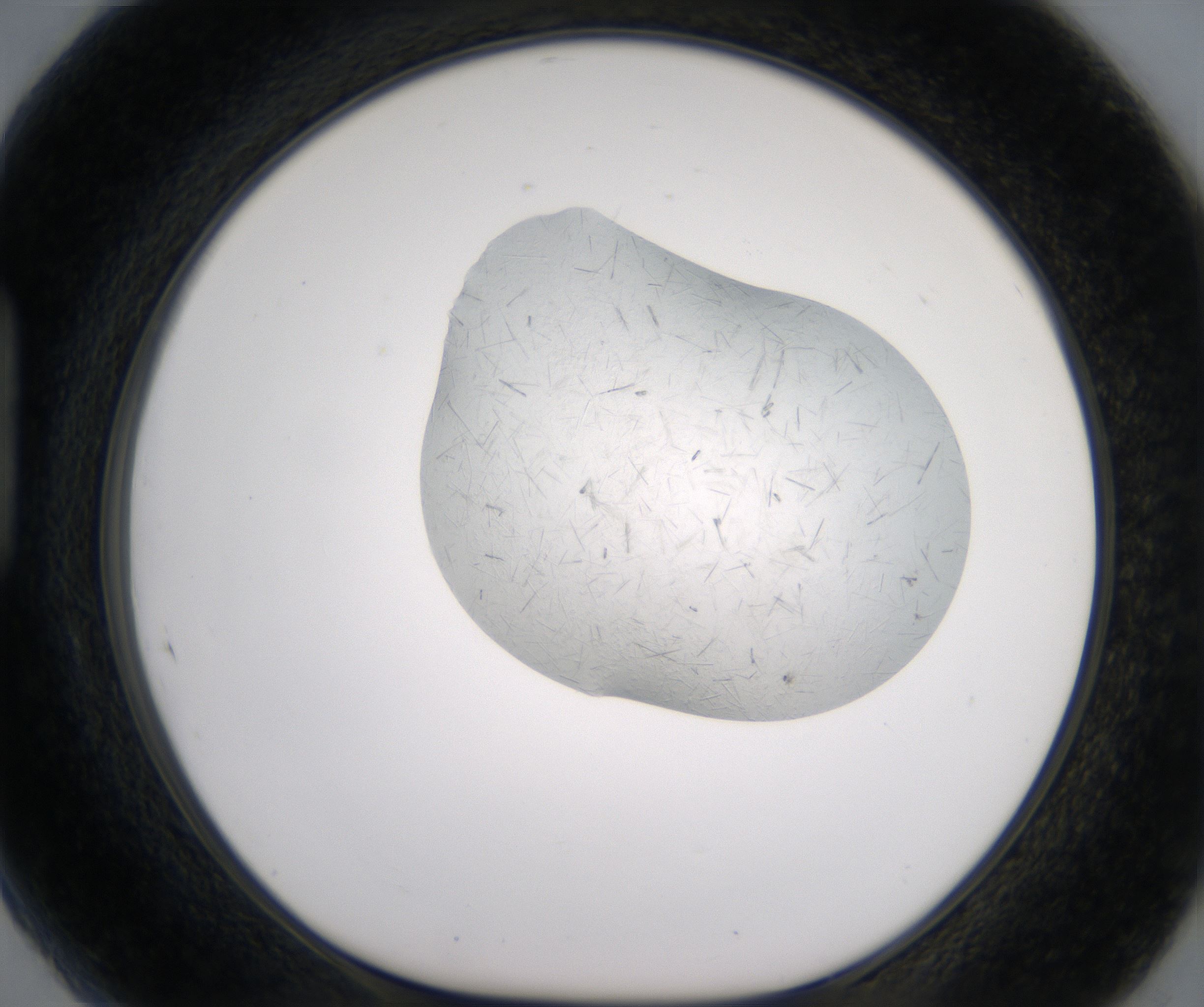 H5_HighResolution_Crystal_1.jpg