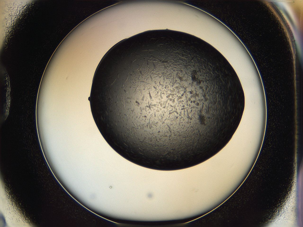 05it_D2_ImagerDefaults_6.jpg