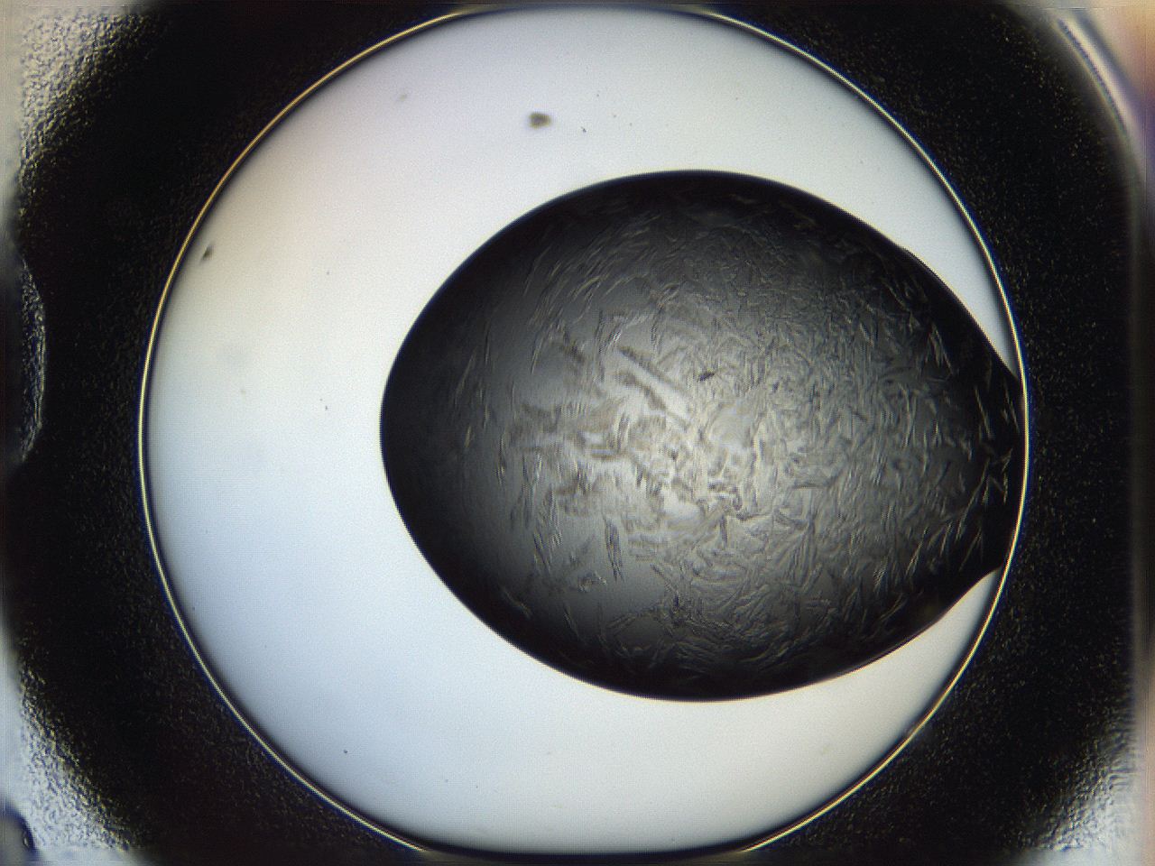 05it_D8_ImagerDefaults_6.jpg