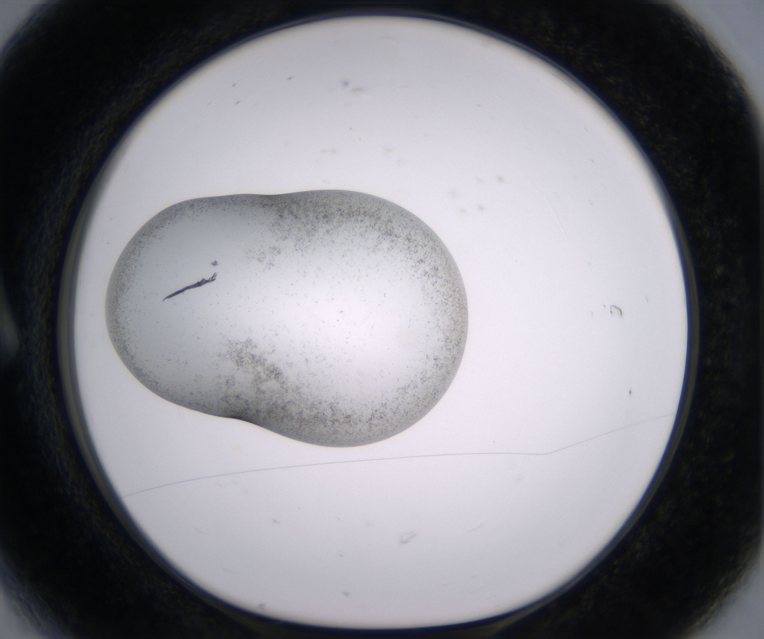 A6_HighResolution_Crystal_1.jpg