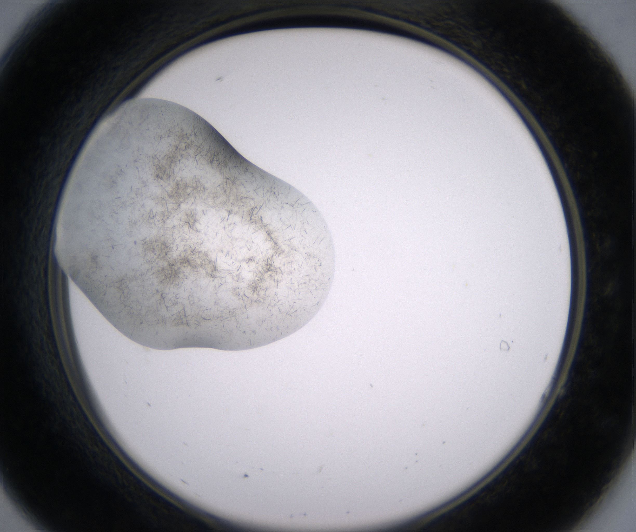 A7_HighResolution_Crystal_2.jpg