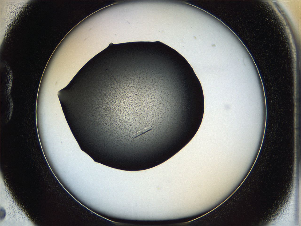 05it_B5_ImagerDefaults_9.jpg