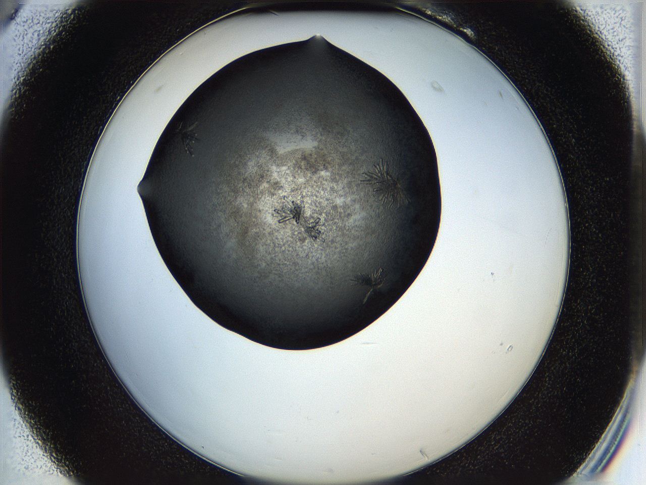 05it_B6_ImagerDefaults_6.jpg