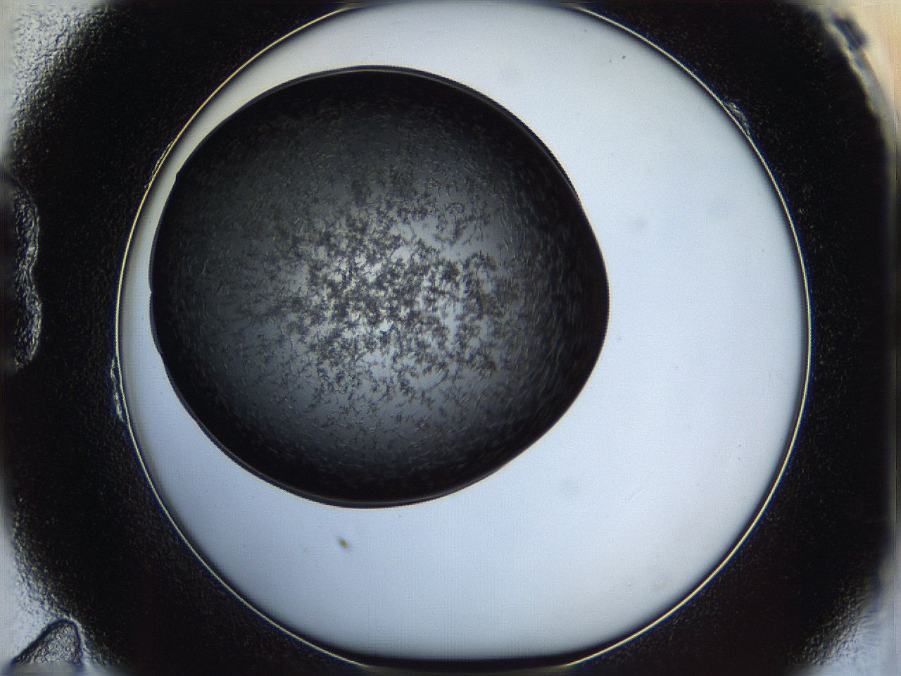 05it_B11_ImagerDefaults_6.jpg