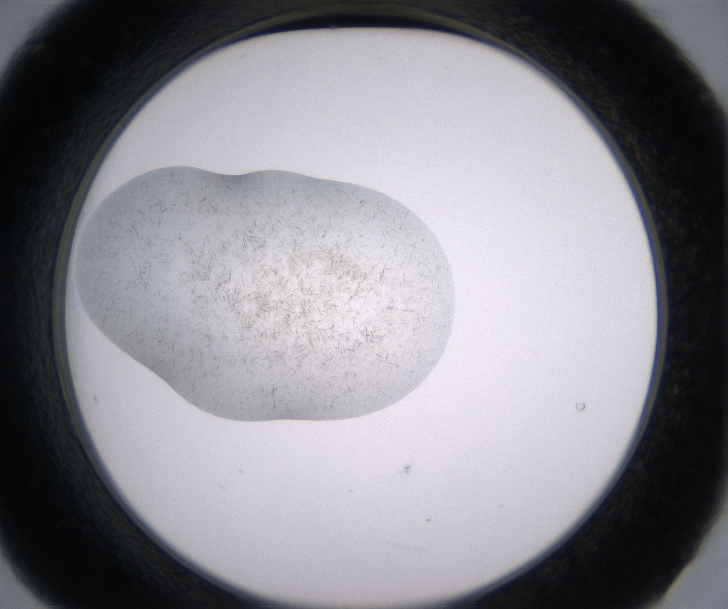 B9_HighResolution_Crystal_2.jpg