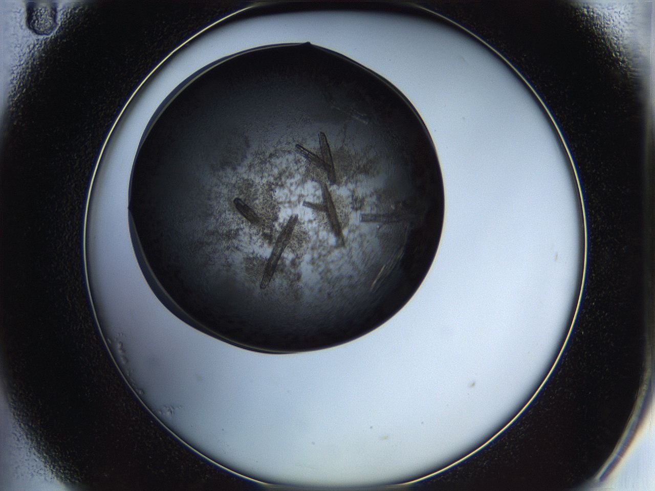 05it_B11_ImagerDefaults_9.jpg