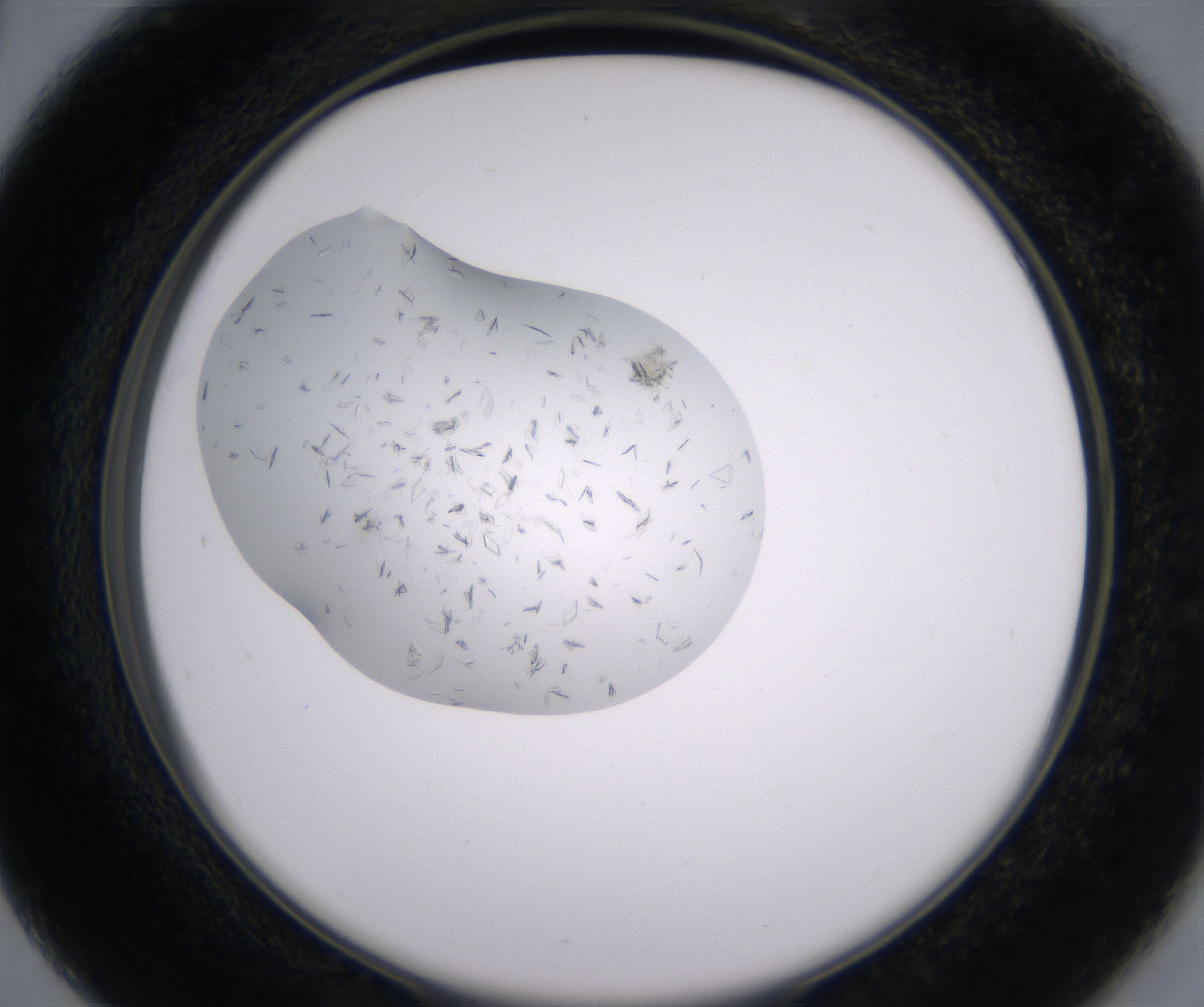 C3_HighResolution_Crystal_2.jpg
