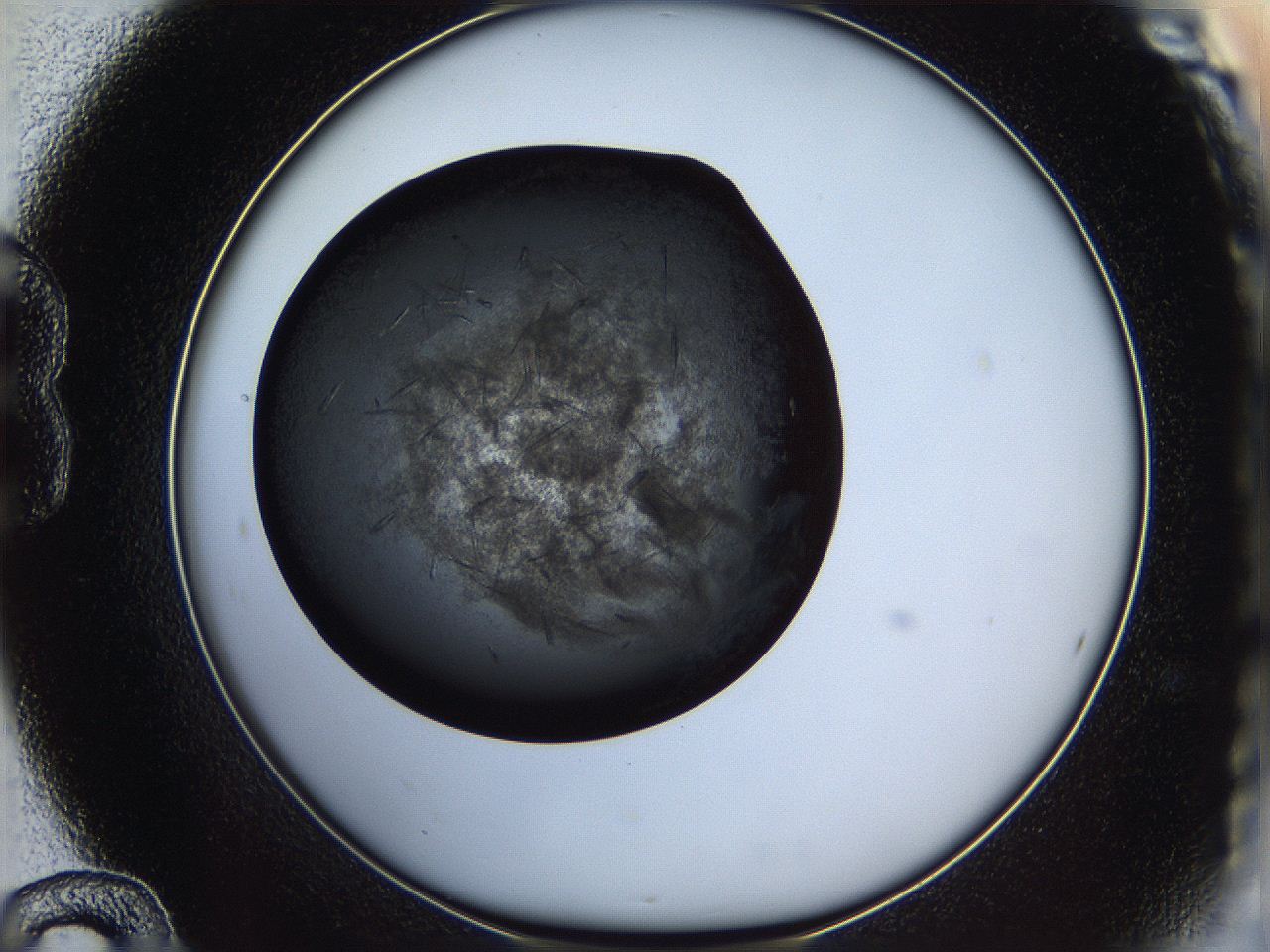 05it_B12_ImagerDefaults_6.jpg